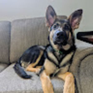 Meet your Posher, Jason